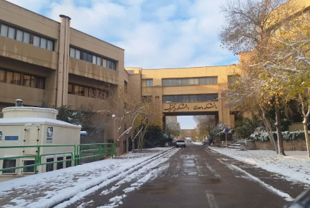 روز برفی - دی ۱۴۰۴